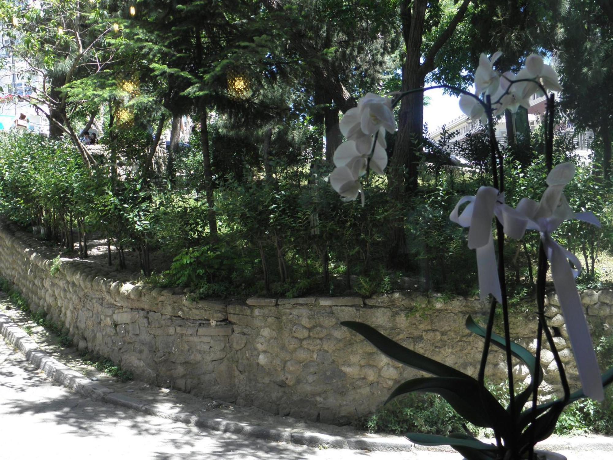 Omar Sultan Park Suites Istanbul Eksteriør bilde